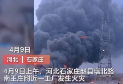 沈阳爆料媒体曝光视频最新,最新曝光视频揭露惊人内幕