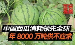 网红400万粉丝吃瓜,一场吃瓜盛宴背后的故事