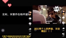 宋慧乔老公爆料视频,独家爆料视频背后的惊人真相