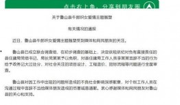 鲁山爆料者被威胁视频播放,勇敢揭露真相背后的惊心动魄