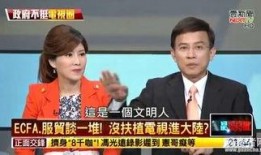 爆料台湾名嘴名单最新视频,最新台湾名嘴名单曝光，视频内容引发热议