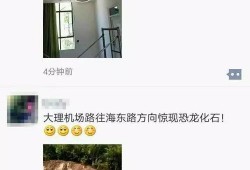 恐龙视频爆料网站大全,全方位恐龙视频爆料网站大盘点