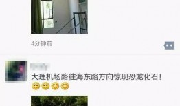 恐龙视频爆料网站大全,全方位恐龙视频爆料网站大盘点