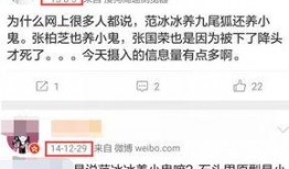 关于养小鬼的爆料视频大全,爆料视频大全深度解析