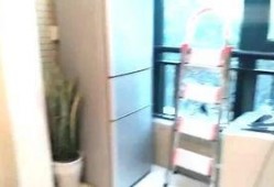 两室电影在线观看