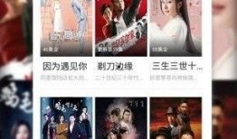 网友爆料赌王视频播放下载,网友热议播放下载背后的真相