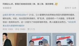 狗仔爆料违法歌手视频,涉嫌违法歌手视频引发舆论风暴