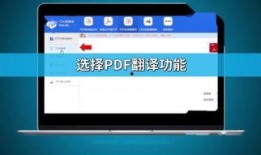 在线观看 翻译,便捷时代的观影新趋势