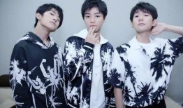 tfboys爆料视频在线观看,揭秘青春成长背后的故事