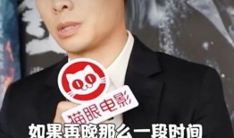 张译最新爆料电影叫什么,神秘电影引期待，揭秘幕后故事