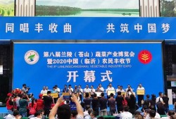 临沂医院爆料最新消息新闻,突发事件引发关注，详情即将揭晓