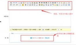 新闻爆料流程介绍,从线索收集到报道发布的全解析