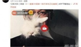 卓伟爆料模特视频大全最新,模特视频大全引发热议，真相揭秘！