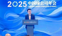 台湾绿委爆料新闻视频,揭露惊人内幕