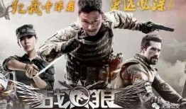 战狼2完整版电影完整版在线观看,燃情热血，震撼视听的国产军事巨制！