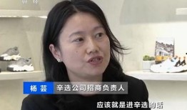 爆料辛巴燕窝当事人视频,揭秘真相与争议