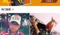 混战在线观看,热血激战，巅峰对决
