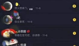 爆料辛巴燕窝当事人视频,揭秘真相与争议