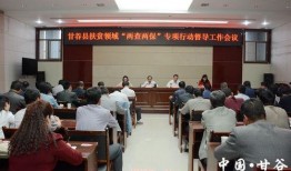 甘谷新闻爆料最新消息,最新爆料揭示惊人内幕！”