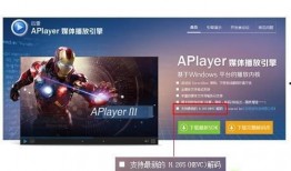 能在线观看的h网站,H网站深度解析
