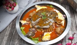 麻辣甲鱼爆料视频大全图片