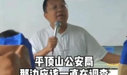 鲁山爆料者被威胁视频播放,勇敢揭露真相背后的惊心动魄