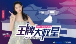 金富善爆料视频大全集,揭秘背后真相与精彩瞬间