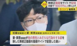 看黄子片视频在线观看,在线观看背后的真相与危害