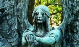 死亡天使在线观看,在线惊悚之旅，揭秘神秘死亡之谜