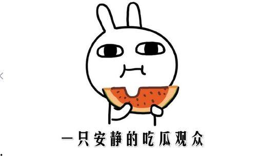 吃瓜是指什么意思,网络热词背后的文化现象